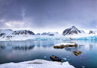 Svalbard: o sítio onde é proibido nascer e morrer e ainda contém a salvação da humanidade