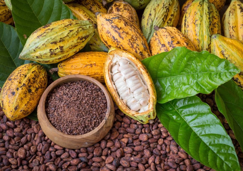 Sweet: cocoa gel replaces sugar in more sustainable chocolate processing