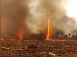 Swirling fire devils spotted as northern Argentina cooks in heatwave