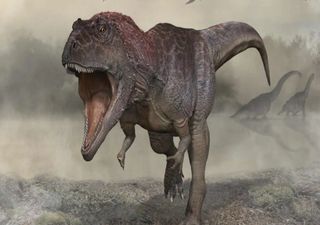 T-Rex: A utilidade dos braços minúsculos