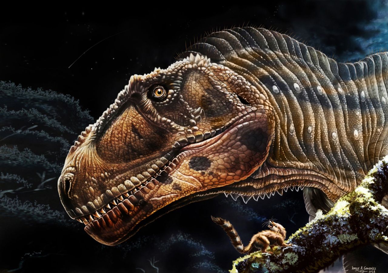 Conheça o recém-descoberto dinossauro que tem braços minúsculos como o T-Rex