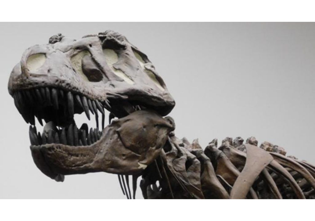esqueleto de T. rex