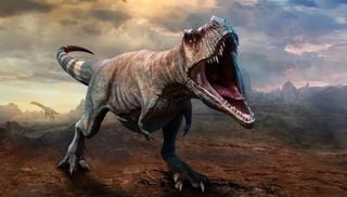 T. rex demorava cerca de 40 anos para atingir o tamanho m&aacute;ximo, revela estudo