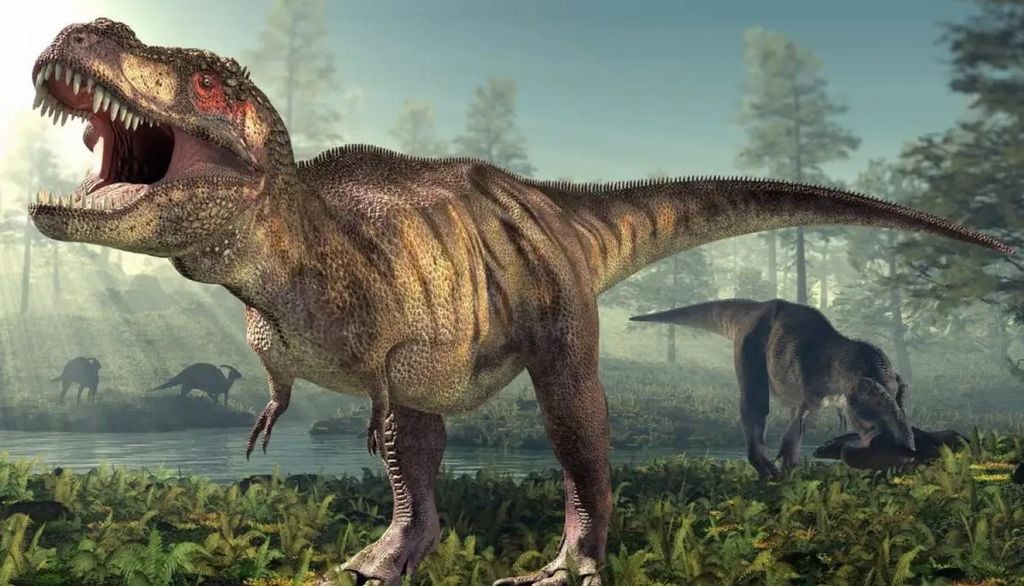 A pesquisa também revelou anéis de crescimento ocultos em ossos fossilizados e encontrou evidências de que alguns dos fósseis mais famosos atribuídos ao T. rex podem, na verdade, pertencer a outras espécies. Crédito: Science Photo Library / Alamy