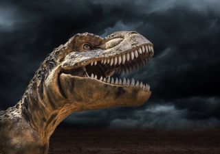 T-Rex, um espécime aniquilador mas nada inteligente 