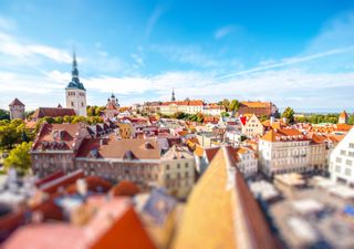 Tallinn, a Capital Verde da Europa que é uma autoestrada polinizadora