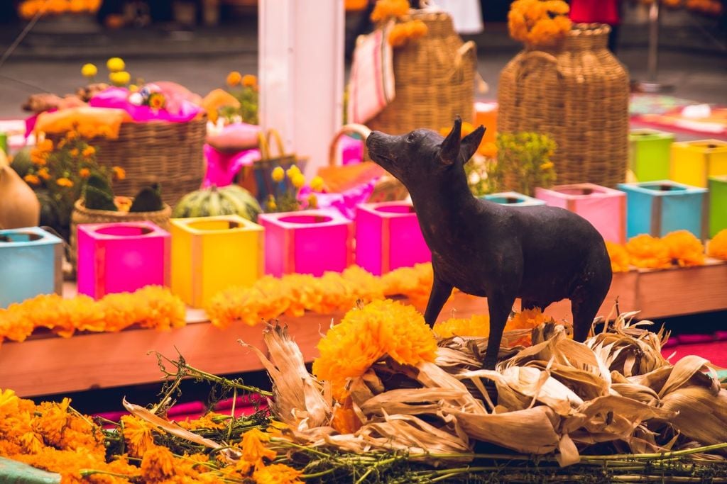 Los xolos son las guías de las almas en el Mictlán según las creencias prehispánicas Los xolos son las guías de las almas en el Mictlán según las creencias prehispánicas