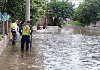 ¡Alerta! Tamaulipas esta bajo el agua, con calles severamente inundadas y la presencia de cocodrilos