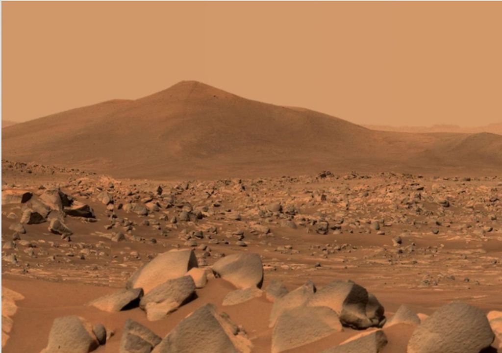 Die Studie untersuchte die Aktivität von Bärtierchen in simuliertem Regolith, der dem von Curiosity analysierten Marsboden ähnelt. Bildquelle: Space Resource Technologies Die Studie untersuchte die Aktivität von Bärtierchen in simuliertem Regolith, der dem von Curiosity analysierten Marsboden ähnelt. Bildquelle: Space Resource Technologies