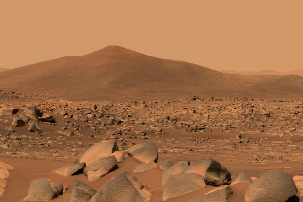 Estudo avaliou a atividade de tardígrados em regolito simulado semelhante ao solo marciano analisado pelo Curiosity. Crédito: Space Resource Technologies