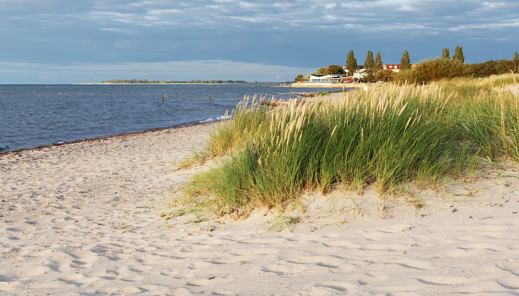 Idyllischer Ostseestrand, Wasseroberfläche, Sauerstoffmangel, Symbolbild,Fischsterbens Idyllischer Ostseestrand – doch unter der Wasseroberfläche kann sich Sauerstoffmangel ausbreiten. Das Foto zeigt ein Symbolbild, nicht den Ort des aktuellen Fischsterbens.