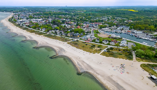 Tausende Fische ersticken in der Ostsee: Wie Wind, &Uuml;berd&uuml;ngung und warmes Wasser die Todeszonen an die K&uuml;ste bringen