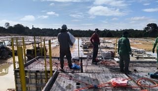 Tecnologia da Amaz&ocirc;nia: tucum&atilde; se transforma em biopl&aacute;stico sustent&aacute;vel para a constru&ccedil;&atilde;o civil