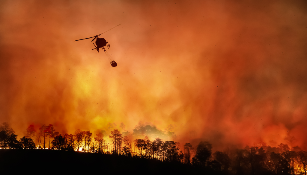 O modelo de inteligência artificial falhou mais no incêndio Eaton devido à sua topografia montanhosa extremamente variada e muito complexa.