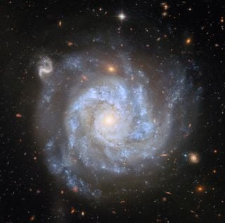 Increíble observación del telescopio espacial Hubble estudia una gigantesca espiral rica en supernovas