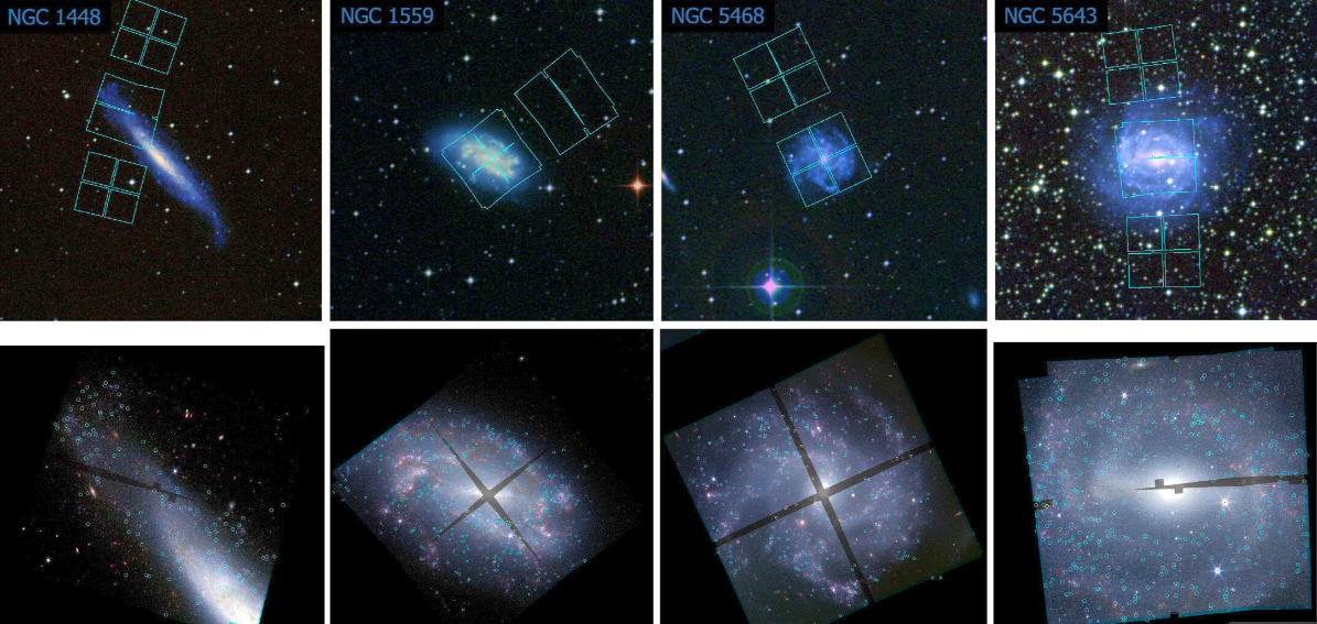Campos NIRCam superpuestos a imágenes en color de Digitized Sky Survey para cuatro anfitriones (arriba) e imágenes NIRCam RGB (F090W/F150W/F277W) que muestran las posiciones de las cefeidas (círculos cian) (abajo). El norte está arriba y el este a la izquierda. Crédito: The Astrophysical Journal Letters (2024). DOI: 10.3847/2041-8213/ad1ddd