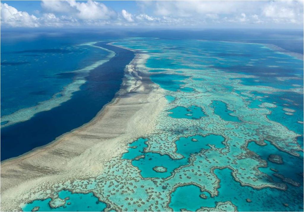 La Gran Barrera de Coral australiana