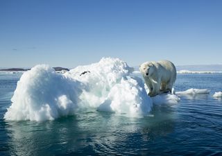 Anomalía de 1,5 ºC podría ser alcanzada dentro de los próximos 5 años