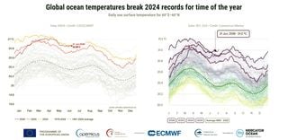 Las temperaturas diarias de la superficie del mar a nivel mundial baten r&eacute;cords para la &eacute;poca del a&ntilde;o, seg&uacute;n Copernicus