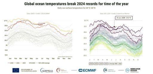Las temperaturas diarias de la superficie del mar a nivel mundial baten r&eacute;cords para la &eacute;poca del a&ntilde;o, seg&uacute;n Copernicus