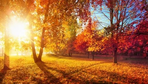 Temperaturas frescas y paisajes dorados: el oto&ntilde;o ha llegado, y estos son los 5 mejores destinos de la estaci&oacute;n en 2026