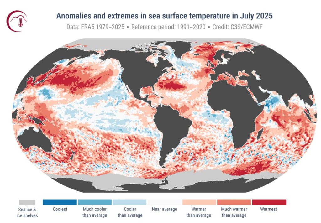 Anomalia de temperatura do mar em Julho de 2025. Créditos: C3S/ECMWF.