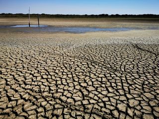 Temperaturas sin precedentes en los últimos 700 años durante el verano de 2022