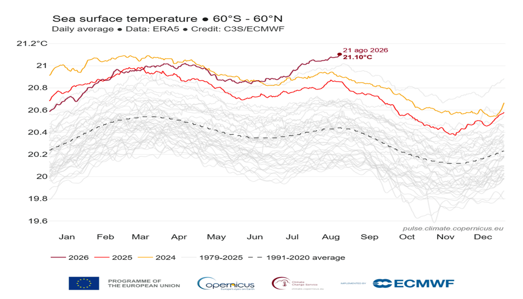 Evolución anual y mensual de las temperaturas del agua del mar entre 60 ºN y 60 ºS con el valor de récord el 21 de agosto de 2026: 21,10 ºC. Fuente: Copernicus