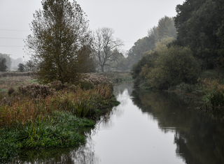 UK weather outlook: Westerly winds take hold, what will they bring?