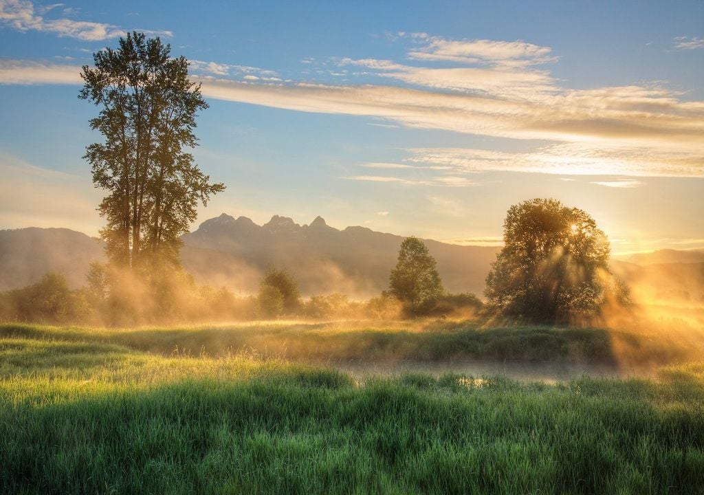 Clear skies and cold nights lead to patches of mist, fog and frost