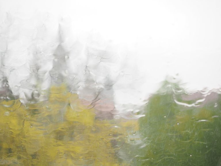 Herbst 2019 Herbst 2019