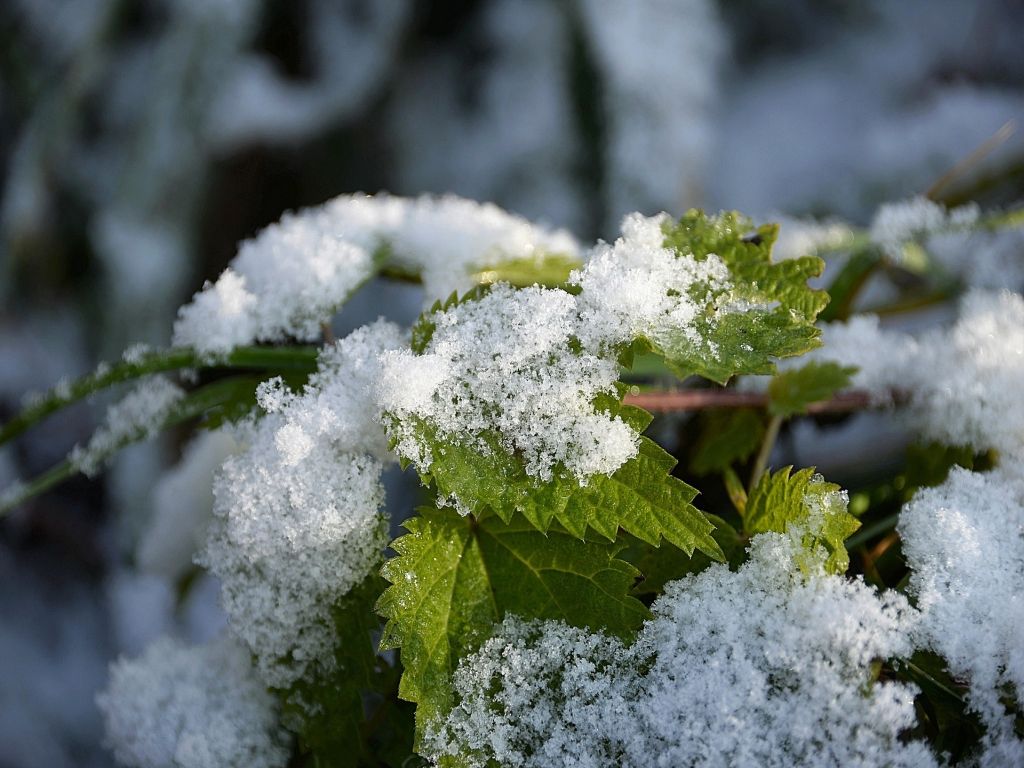 Erster Schnee in den Alpen Erster Schnee in den Alpen