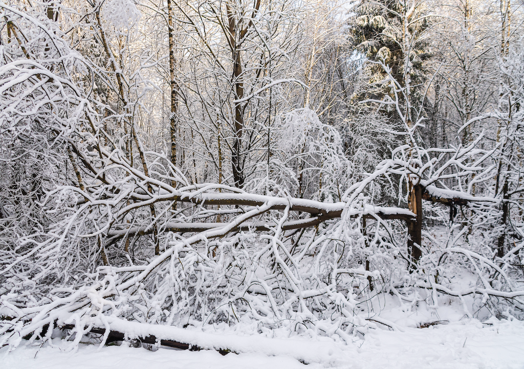 Schnee, Deutschland, Oktober
