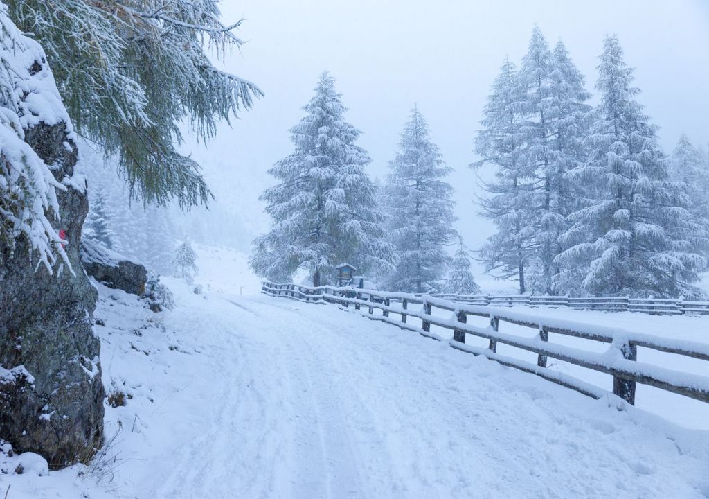 schnee, winter, alpen schnee, winter, alpen
