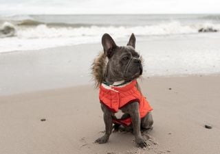 Temperatursturz um 15 Grad: Am Montag Wettersturz in Deutschland! Ist der Sommer schon vorbei? Das sagt der Experte!