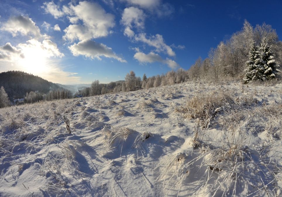Erster Schnee Erster Schnee