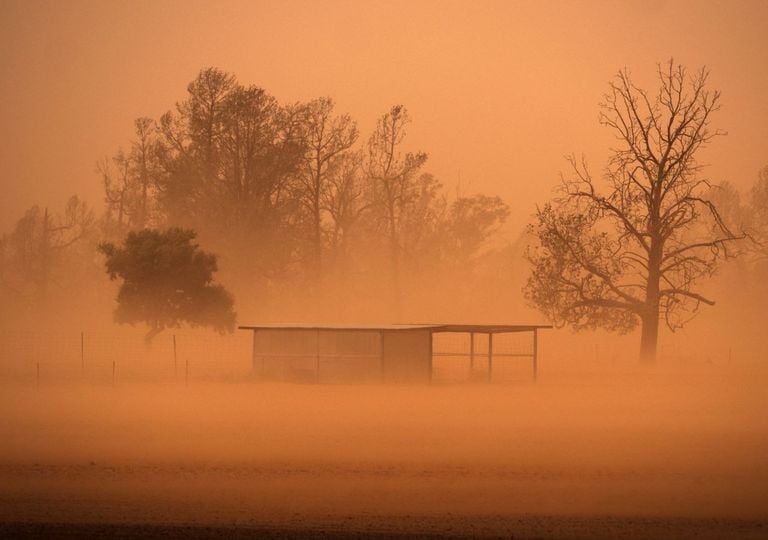 Arrumando a casa em uma tempestade de areia - Arrumando a casa em