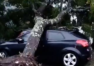 Tempestade Kirk provoca inúmeros estragos no Norte de Portugal: eis as imagens do rasto de destruição