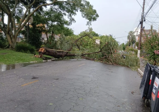 Tempestade no RS com ventos de 60 km/h causa queda de &aacute;rvores e postes e destelhamentos; veja imagens
