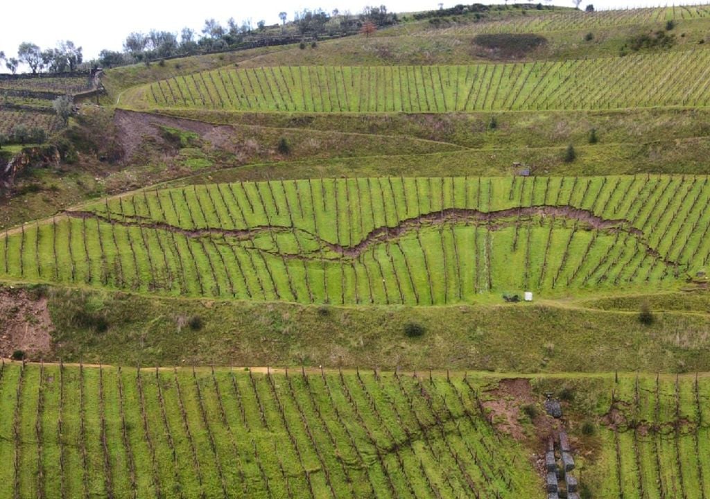O mau tempo provocou derrocada de socalcos, destruição de vinhas e colapso de muros de pedra na região vitivinícola do Douro. Foto: Município de Mesão Frio