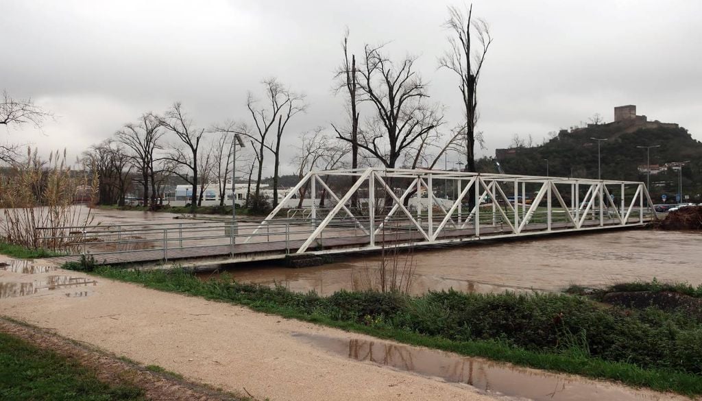 A sequência de tempestades que assolaram Portugal no final de janeiro e início de fevereiro de 2026 causaram prejuízos severos na suinicultura, avicultura, fruticultura e agropecuária.