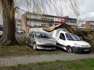 Tempête Eunice : des vents à 200 km/h, au moins 8 morts en Europe