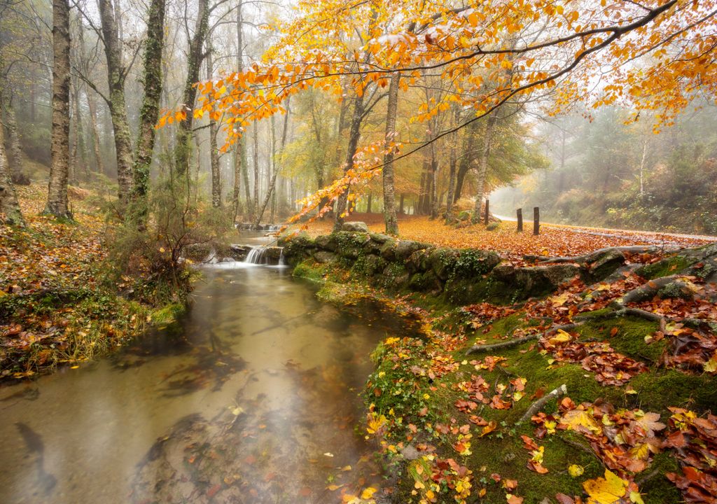 November;  rain;  autumn;  Portugal