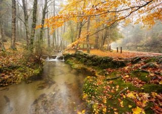 Tempo em novembro em Portugal: o fim da seca e a chegada do frio?