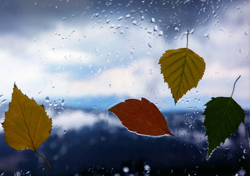 outubro; outono; chuva; sol; tempo variável; Portugal