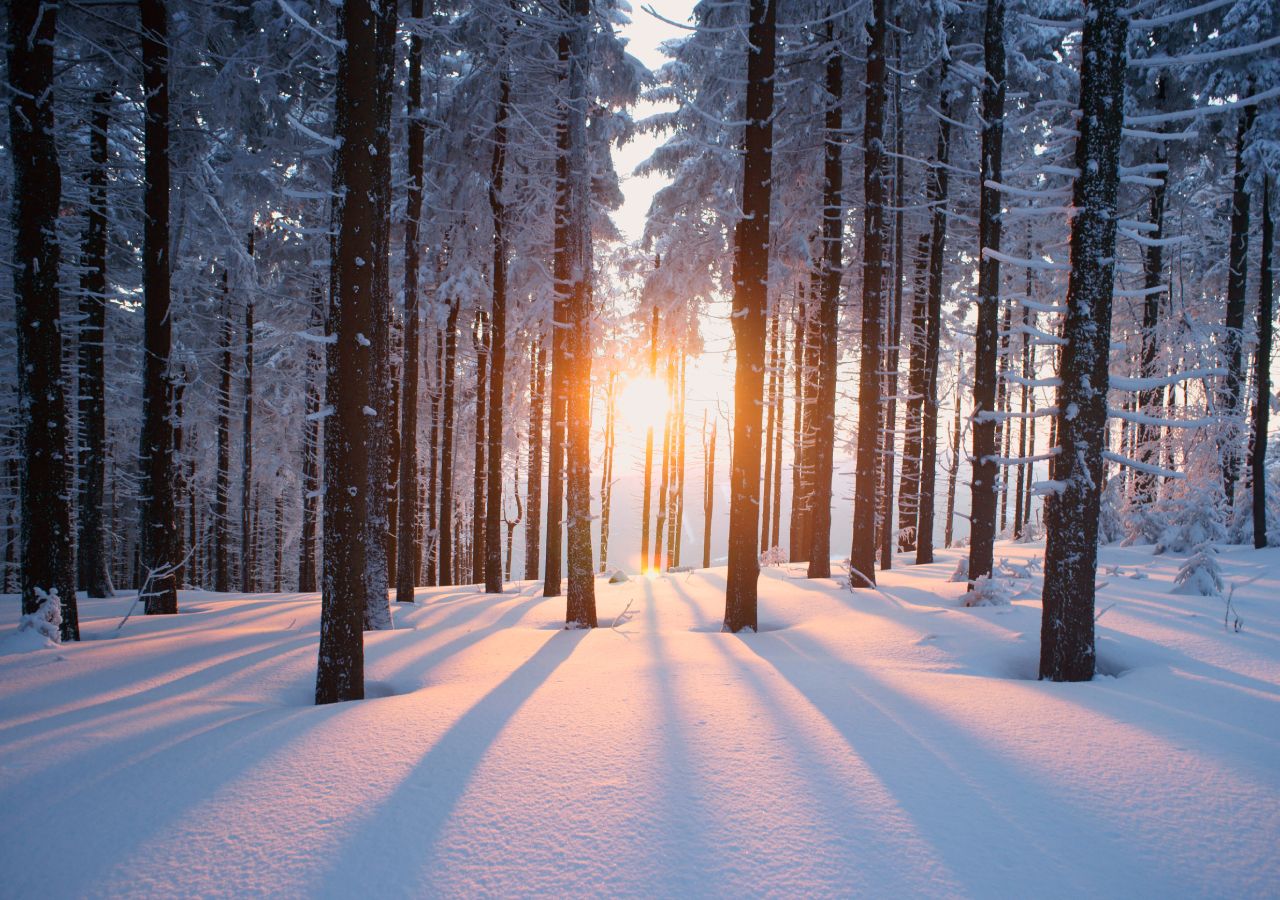 Tempo em Portugal em fevereiro: estarão o frio e os temporais de