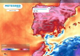 Tempo em Portugal esta semana: ar polar e geadas intensas seguidas de uma mudança drástica. Eis as regiões mais afetadas