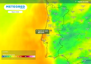 Tempo em Portugal esta semana: nortada forte desencadeia aviso amarelo em 2 distritos e haverá “montanha-russa” térmica