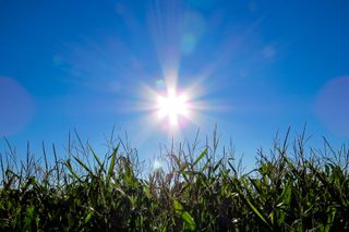 Tempo esta semana: onde estás Inverno?