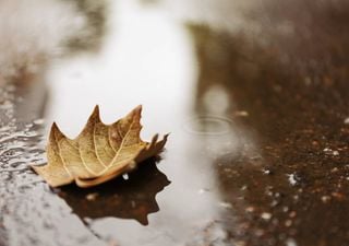 Tempo esta semana: primeiro a chuva, depois o ar polar!